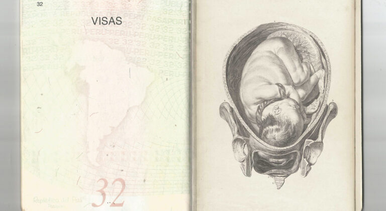 Maternidad Feto Visa MUAC