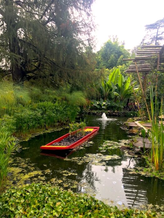 jardín botánico de chapultepec