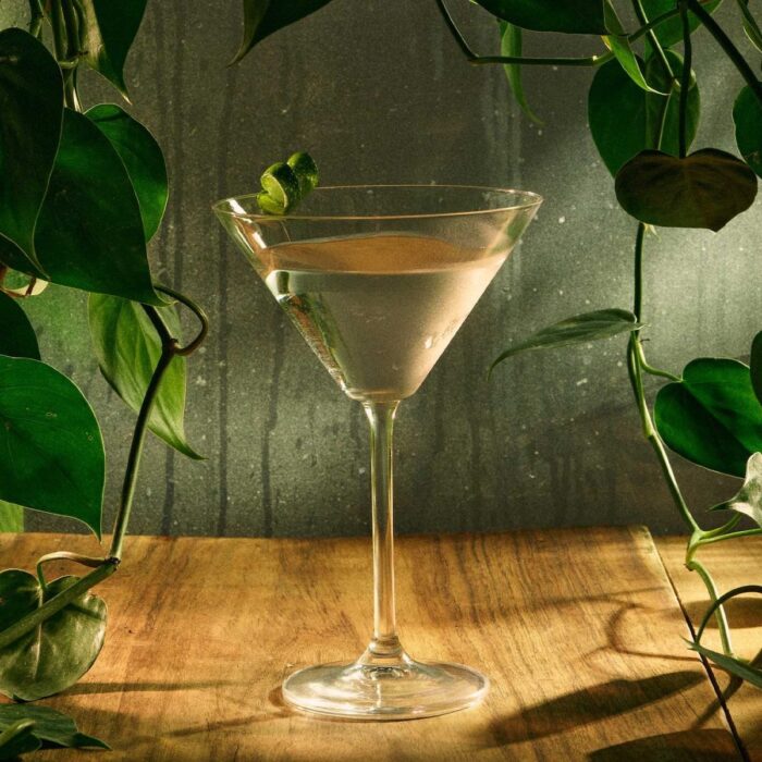 Martini de tequila para el calor